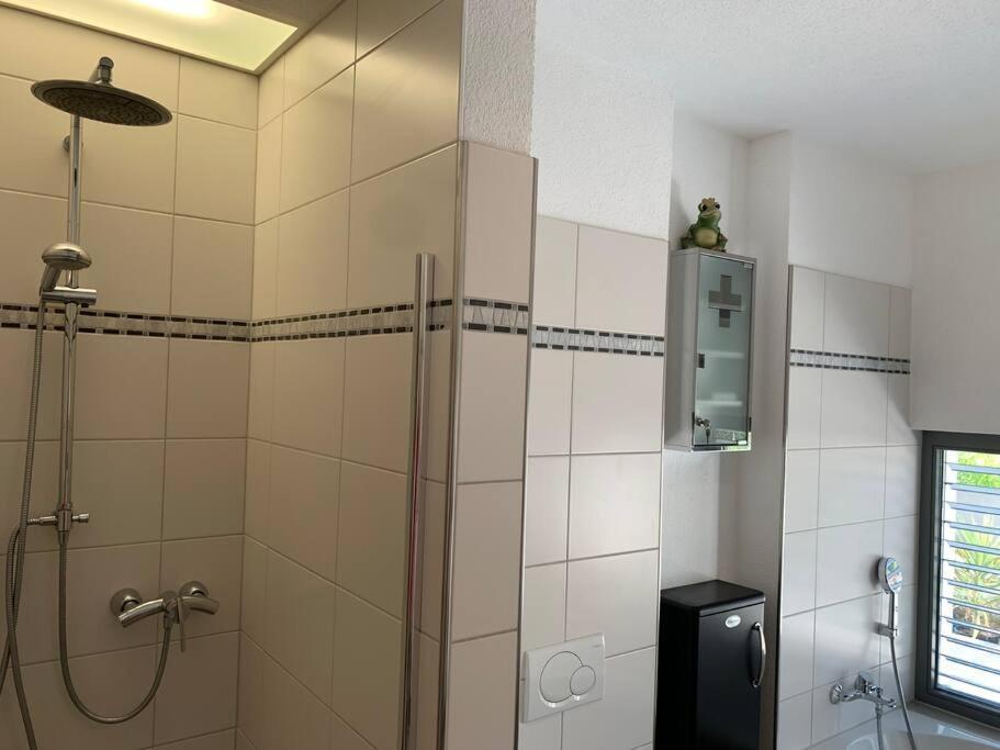 Panorama Apartment Kandern Bagian luar foto